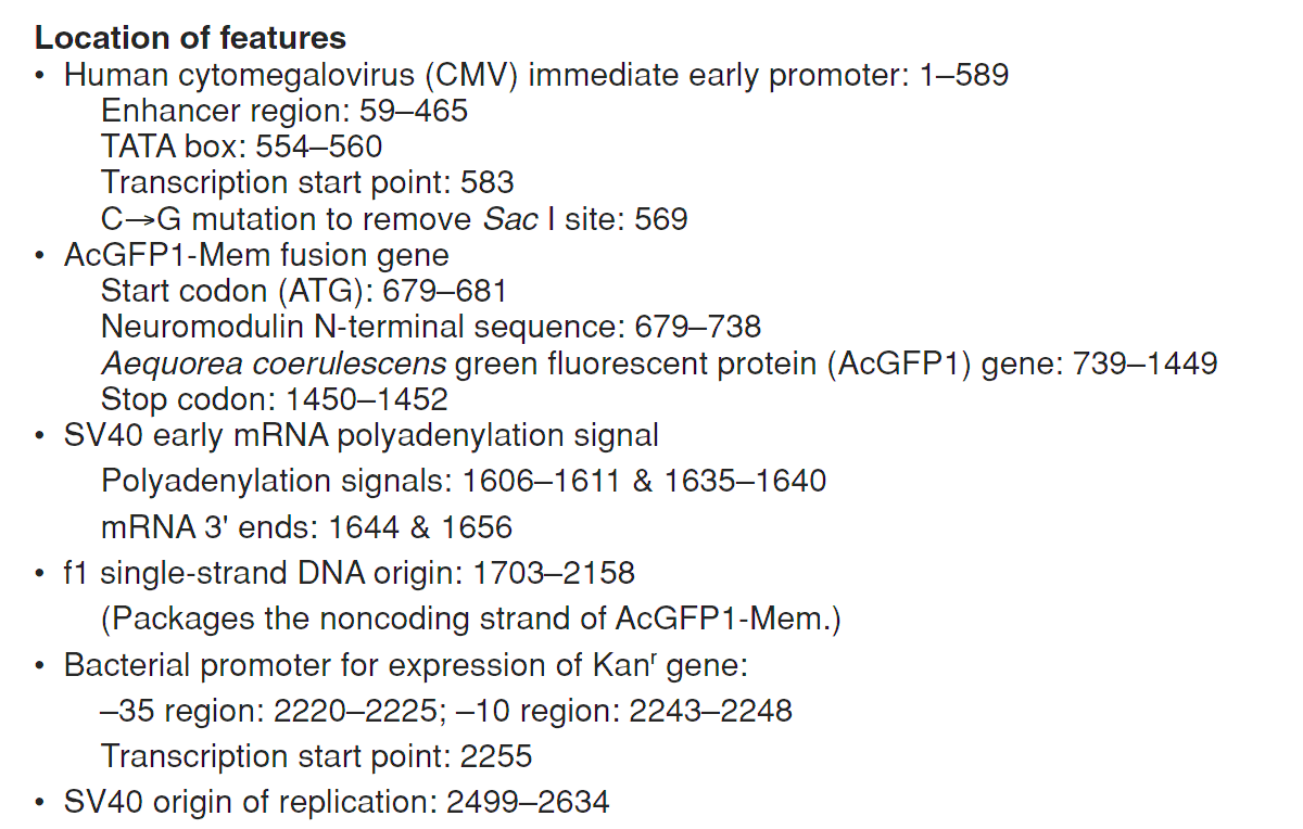 pAcGFP1-Mem 载体特征1